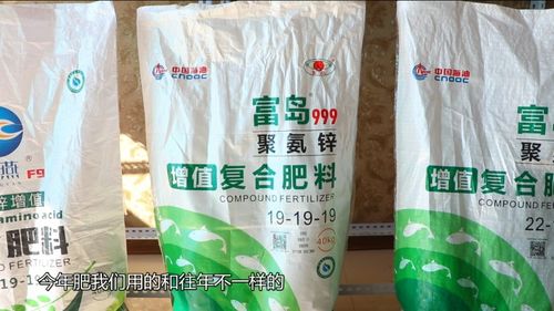 拔出來的增值豐收 從一片沃土看中國(guó)化學(xué)的創(chuàng)新力量