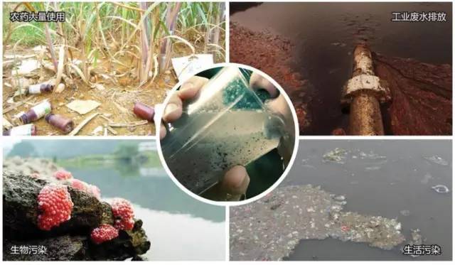 告別硬水之憂！化學(xué)肥料時(shí)代的凈水器選購(gòu)指南